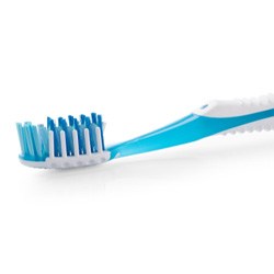 Close-up of a single white and blue toothbrush